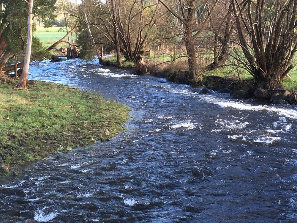 Opening Weekend, Mid Goulburn streams