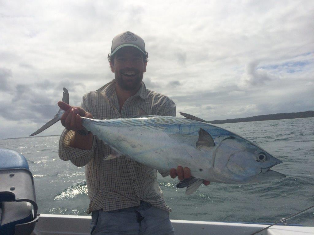 Hervey Bay Tuna