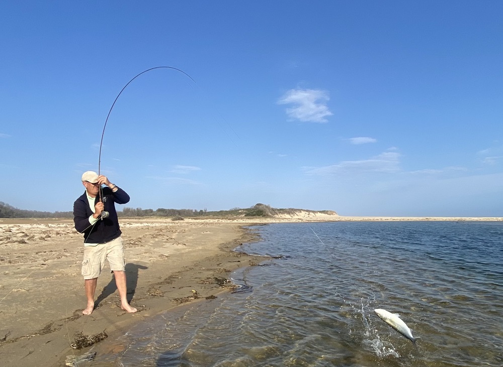 Best laid plans, East Gippsland