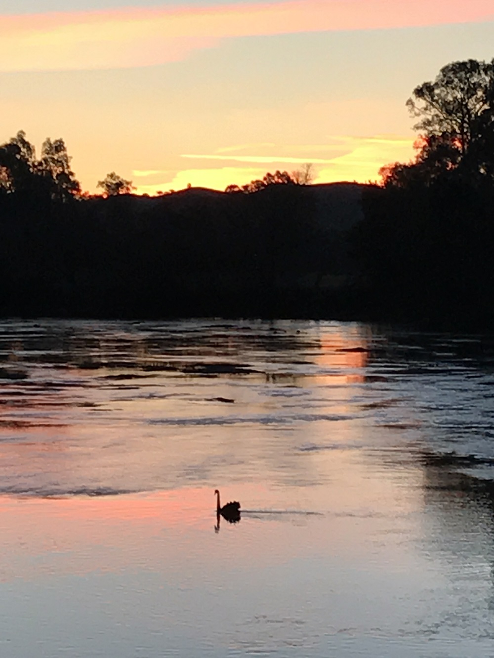 Season's end in the Goulburn Valley