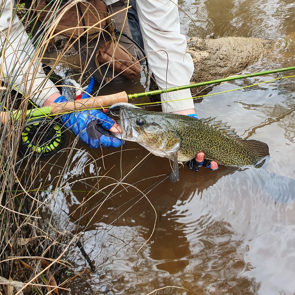 TESTED: Vision Down Under Fly Rod