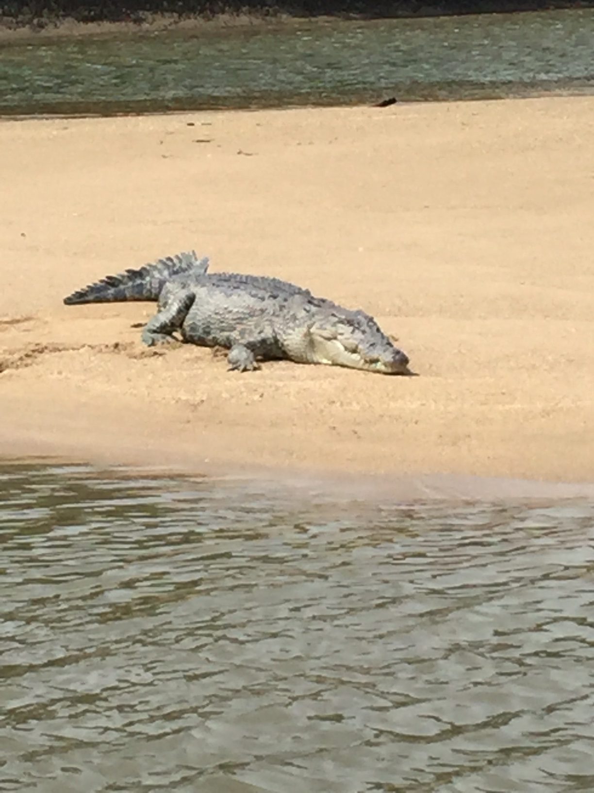 Fishing the Daintree