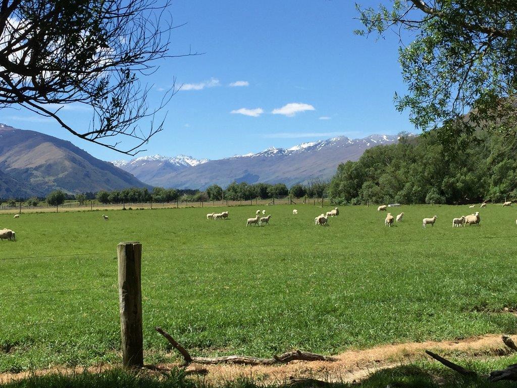 Southland NZ - Weathering The Extremes