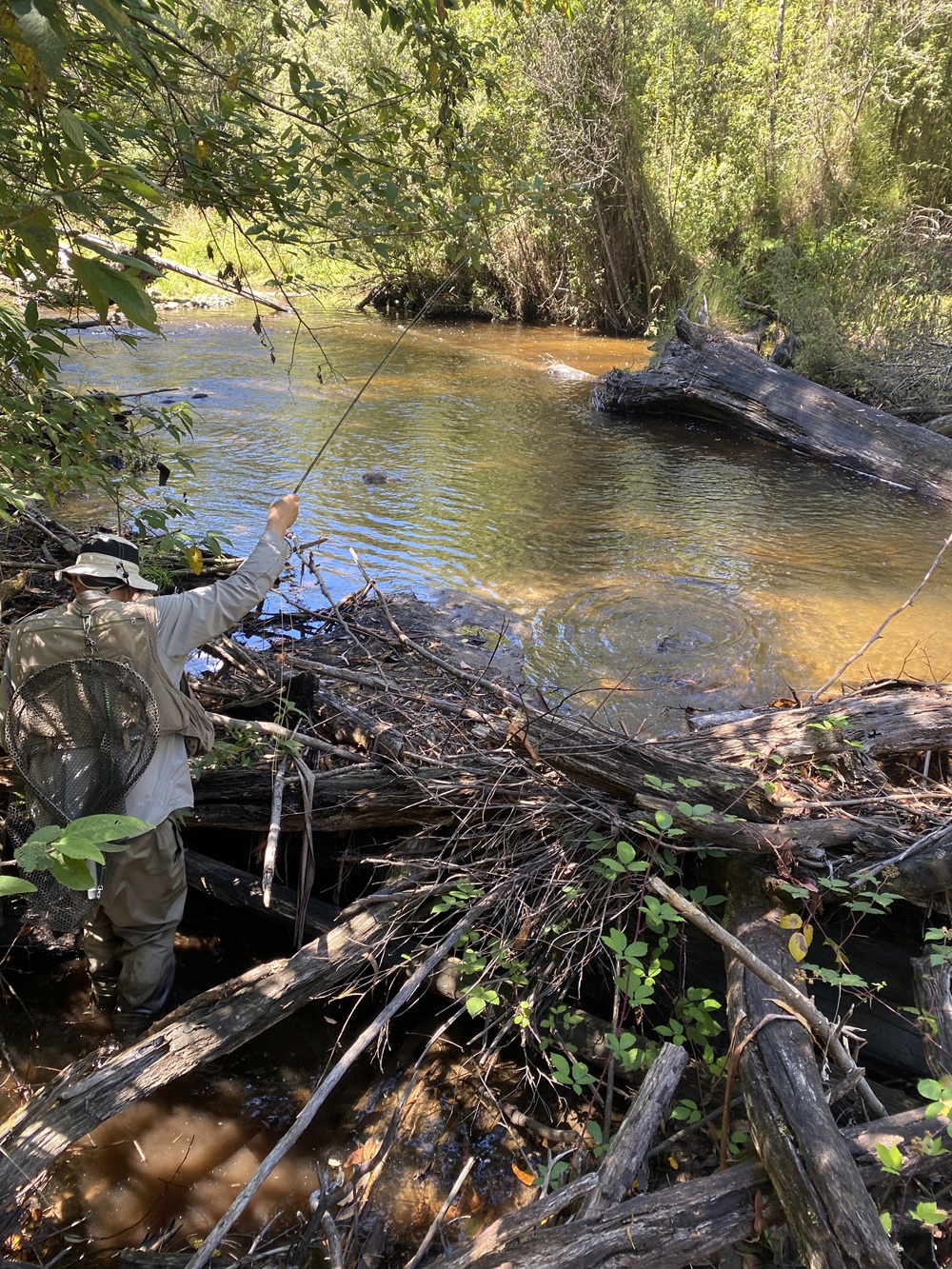Embracing the end of stream trout season
