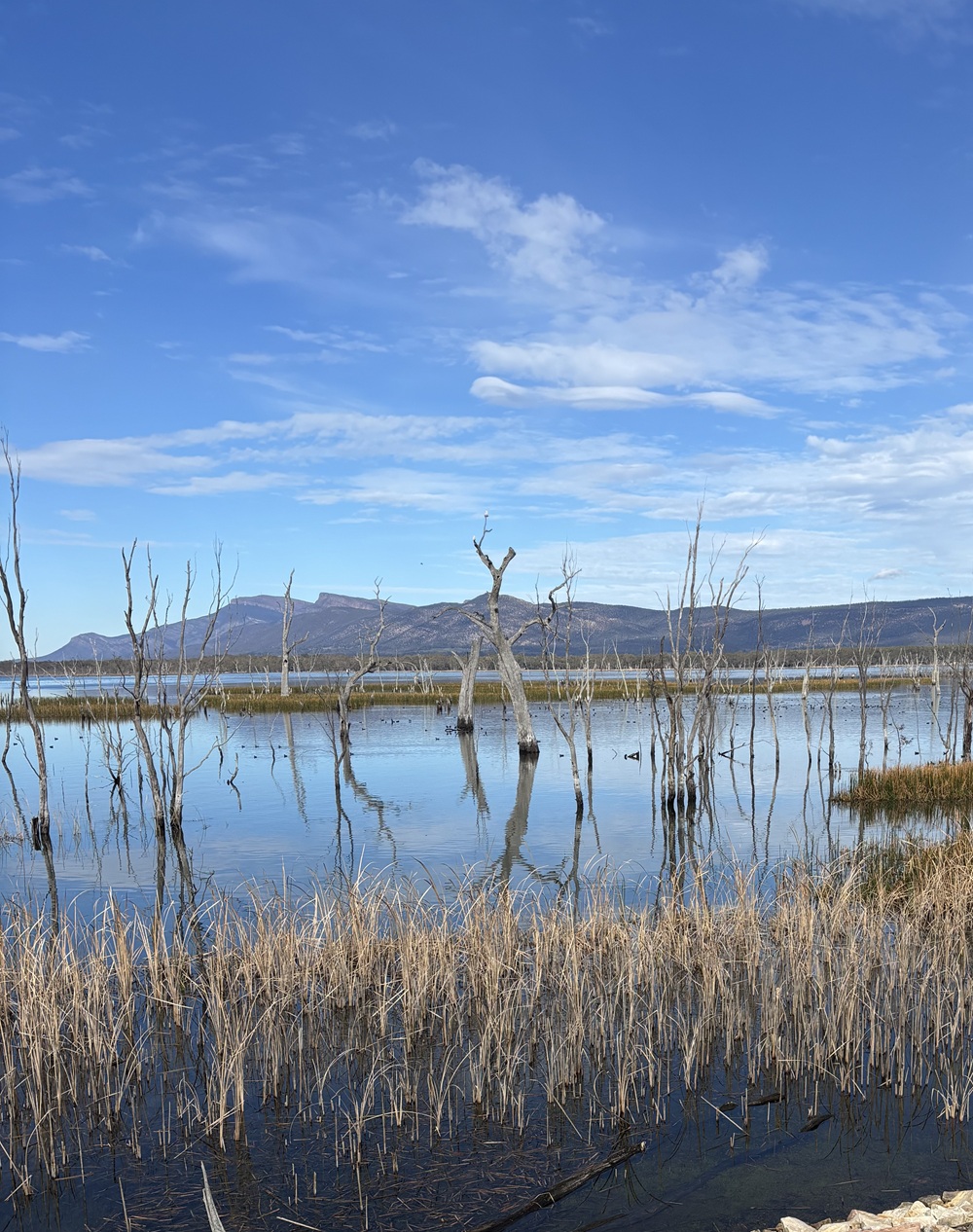 Almost great in the Grampians