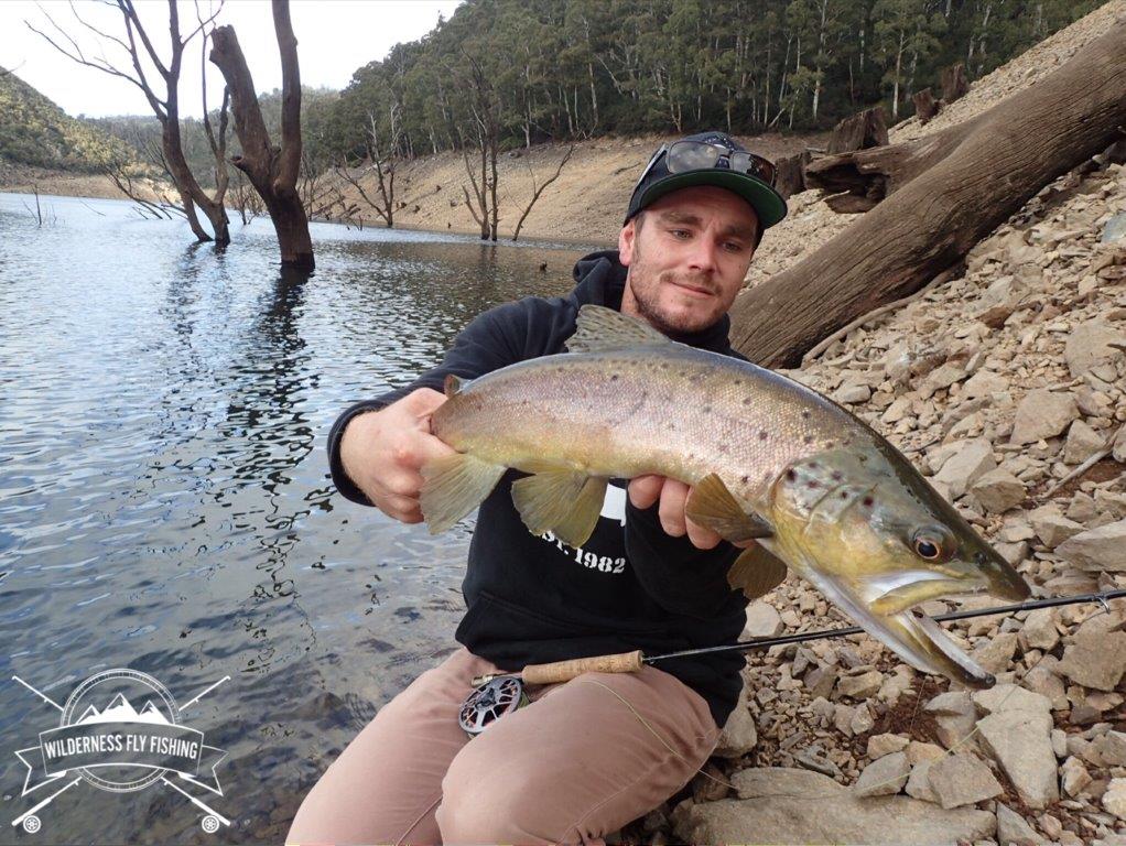 Late Autumn in the Snowy Mountains
