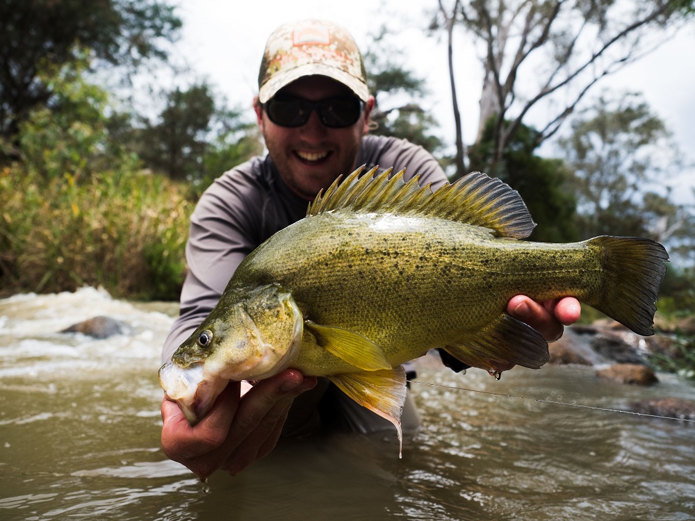 A golden day on a river