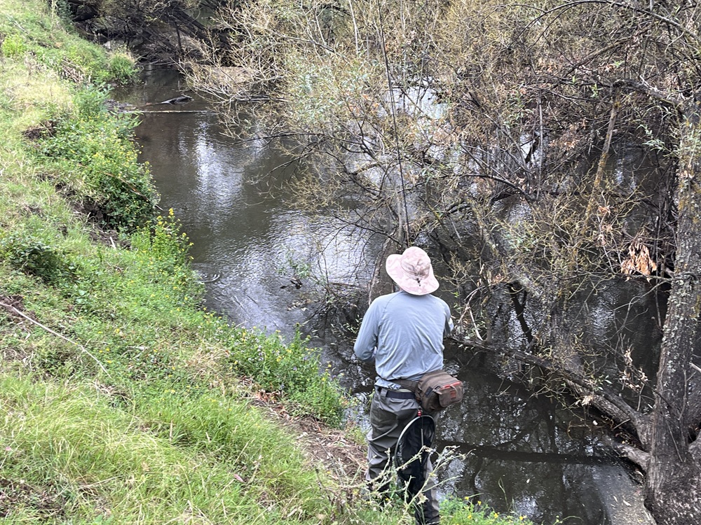Encounters vs captures – mid Goulburn catchment