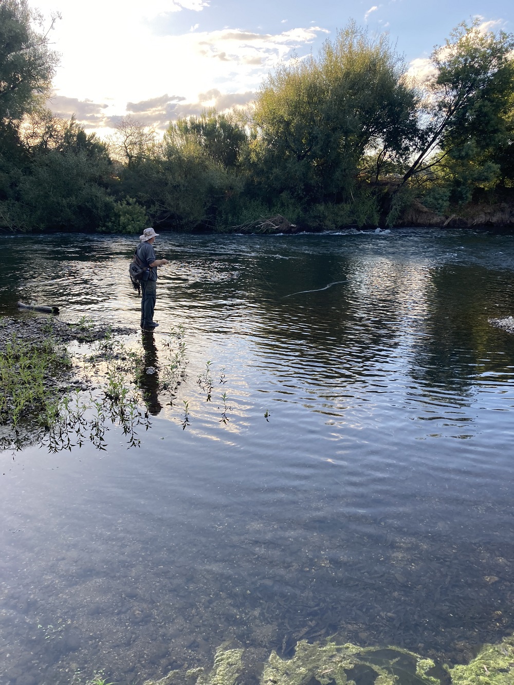 Mid Goulburn report: fast creeks, grubs & Kossies