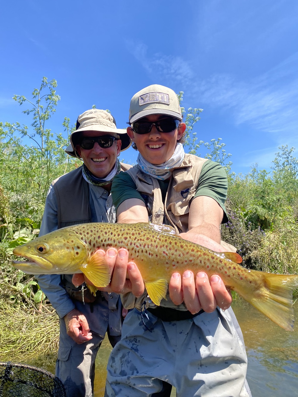 Windscreens and trout