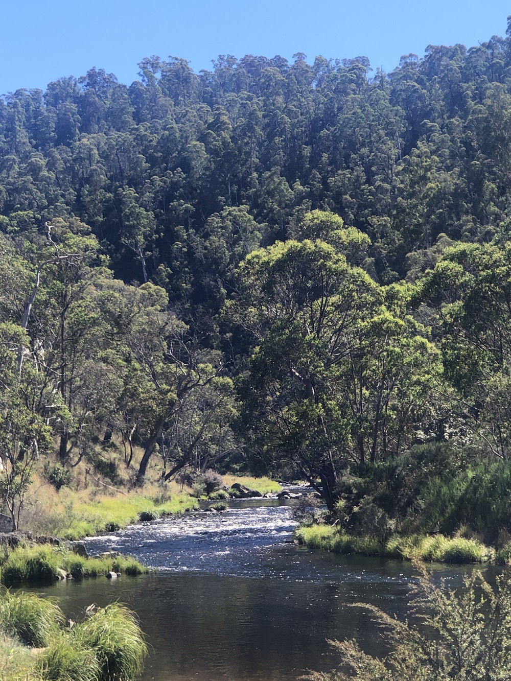 Early February, North-East Victoria