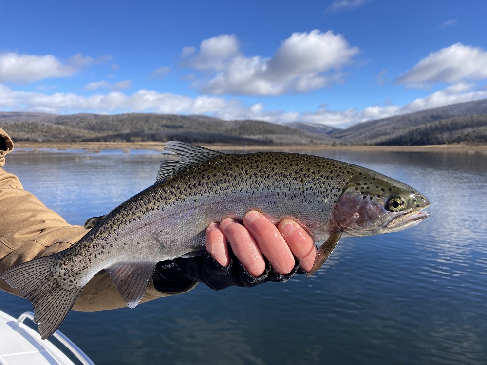 Snowy Lakes Midwinter Update