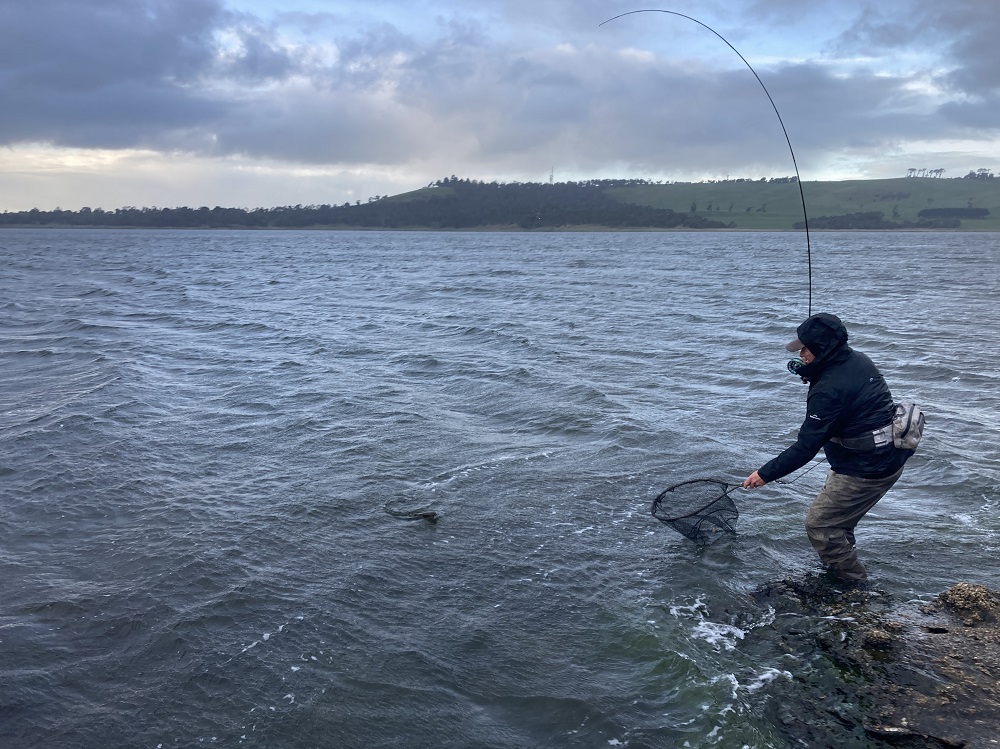 Bream, browns, ‘bows… and Bullen Merri