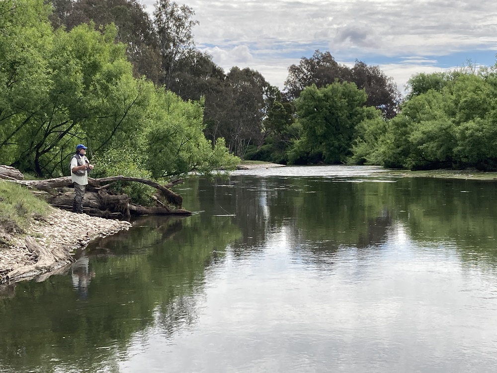 The Goulburn, tributaries, and termites