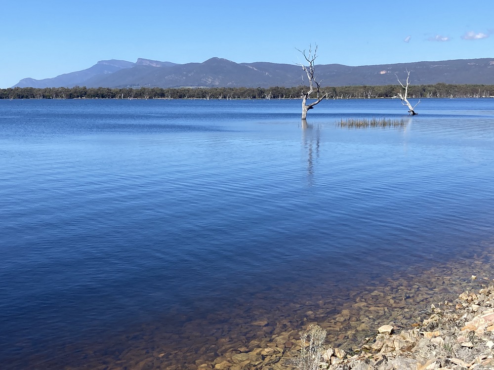 Sight fishing the Grampians lakes