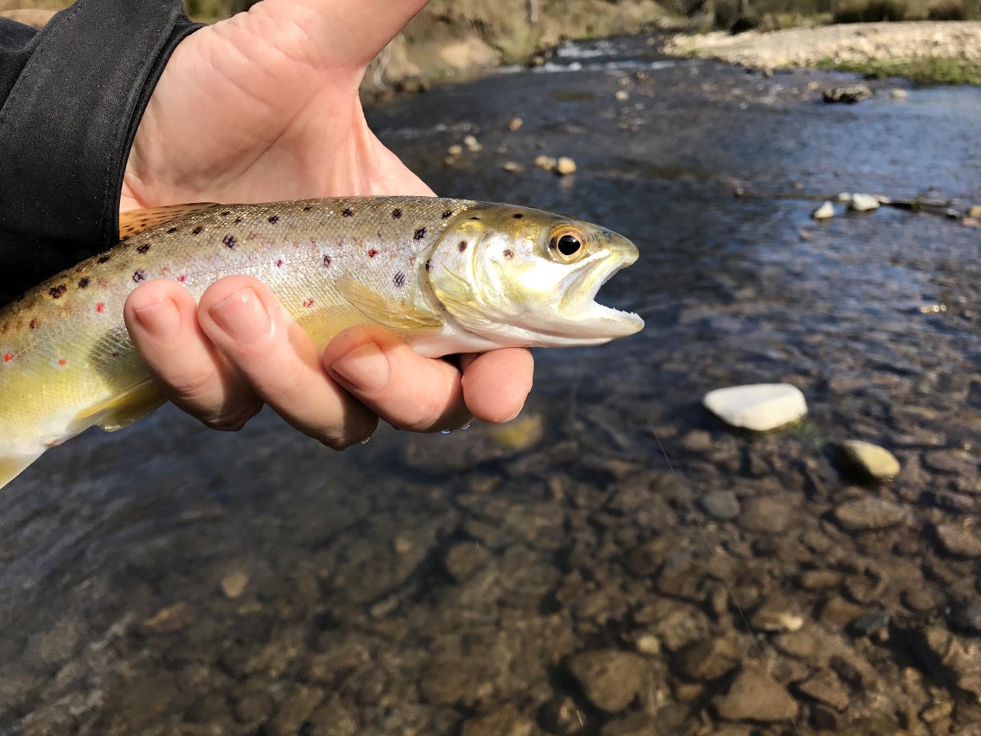 A late season opening