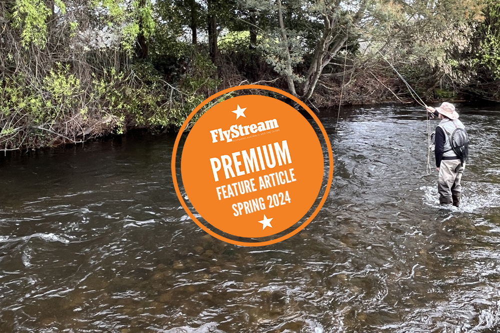 STREAM TROUT BASICS – Part 2