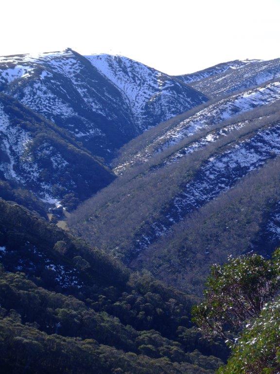 Trout, temperature and the change of seasons