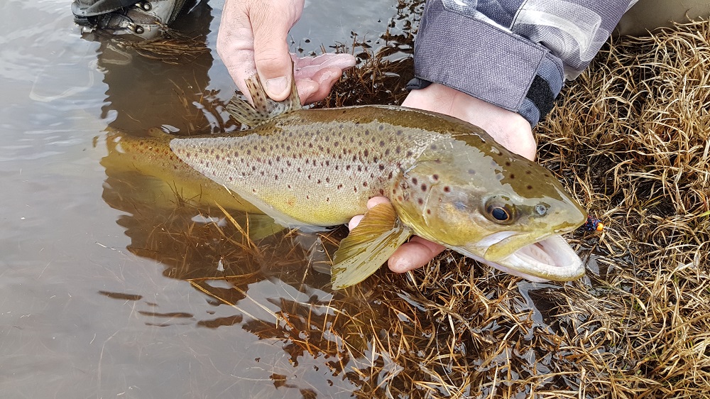 Snowies update - lake winter rolls on; river season dreaming