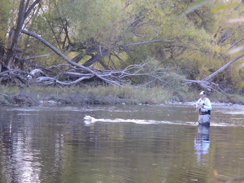 Autumn on Tasmania’s Northern Rivers 