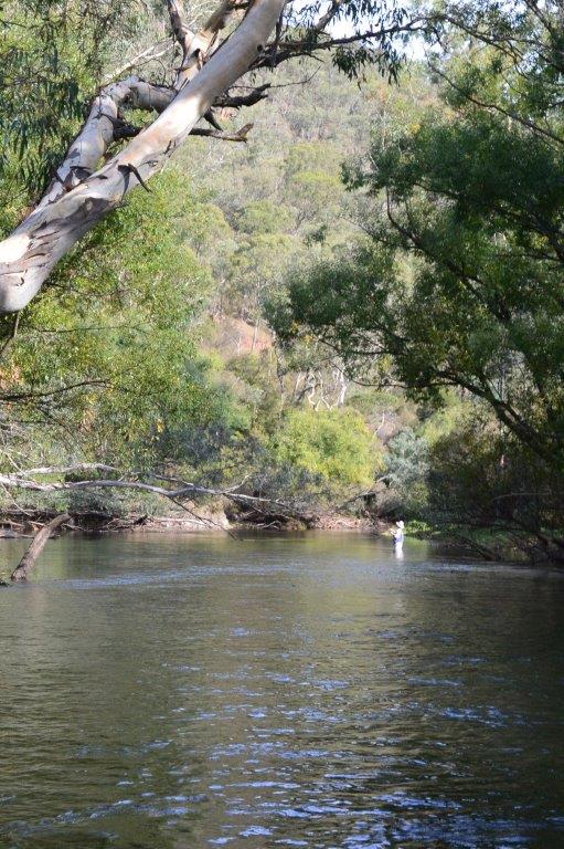 Hot In North-East Victoria