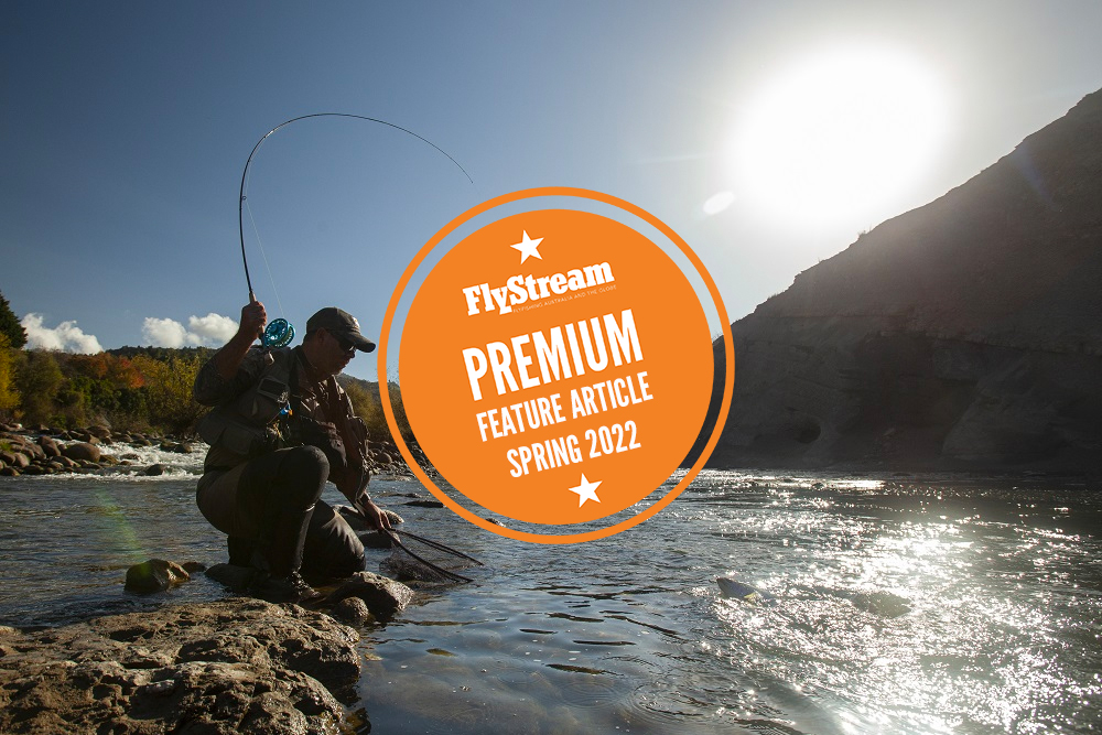 Early Season NZ - Open for Business