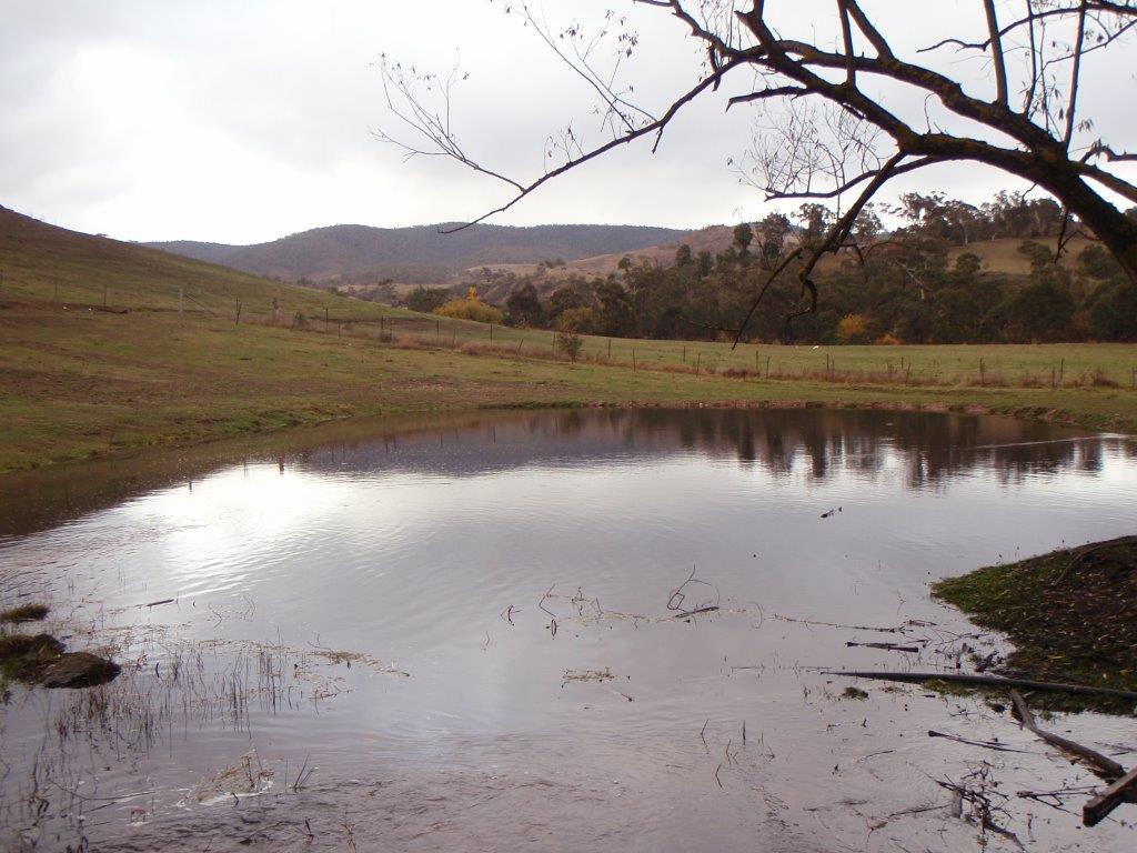 Bad weather, good fishing - upper Mitta Mitta system