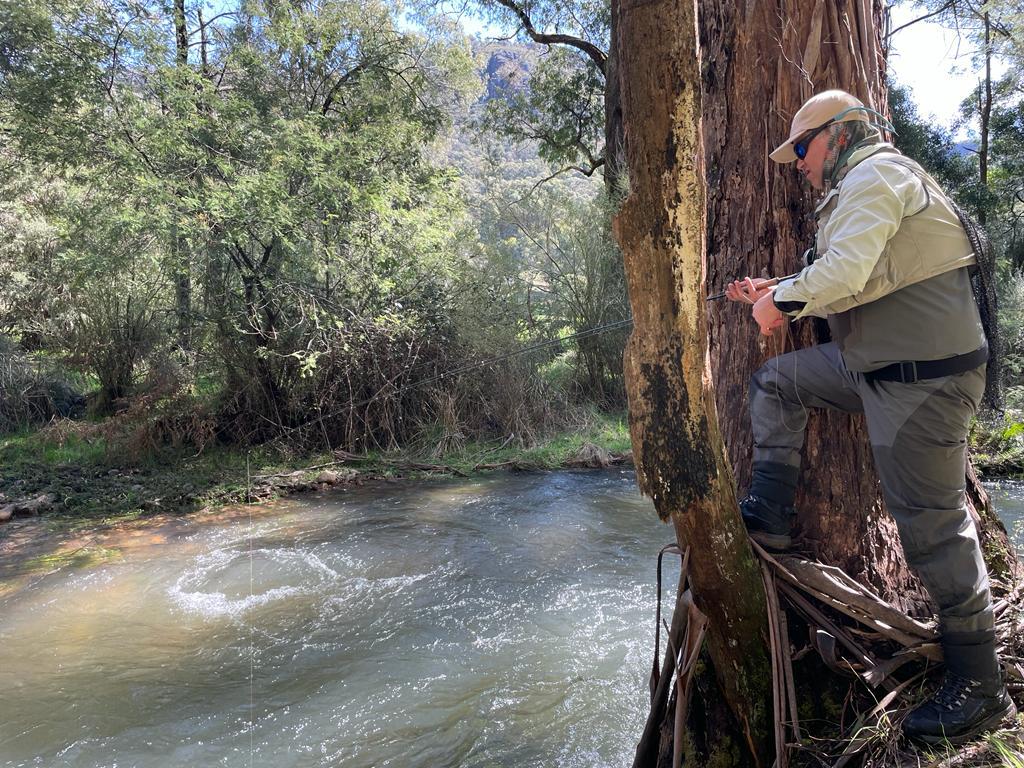 Upper Rose River Report