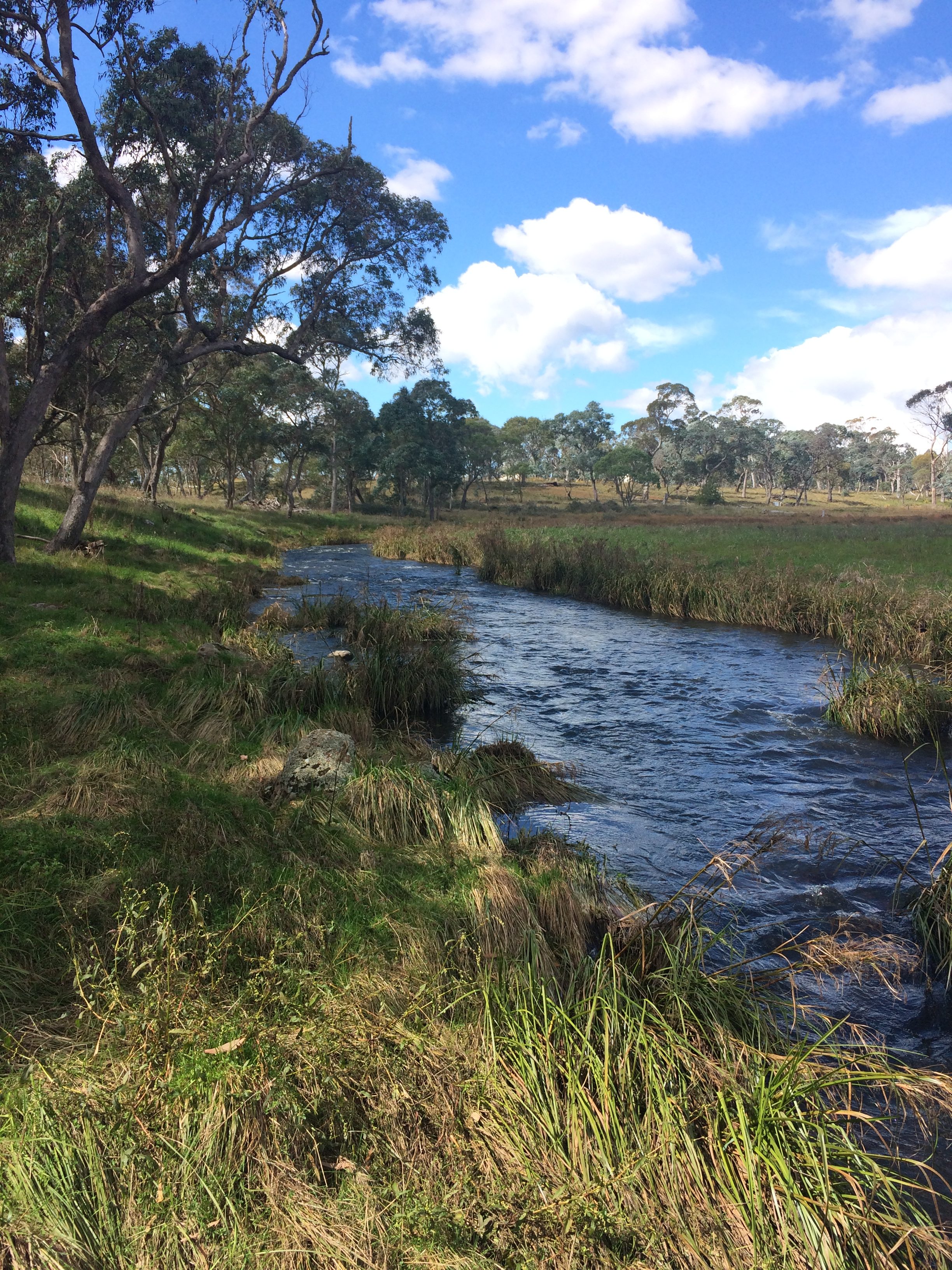 Exploring the New England Region in NSW