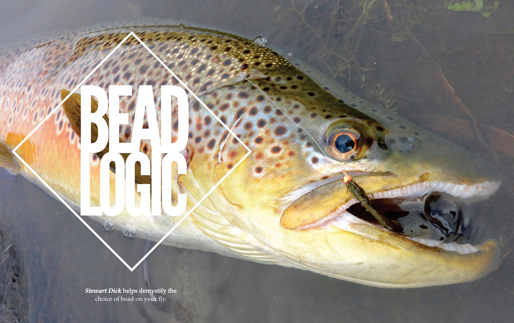 the flyfisher fishing bead 