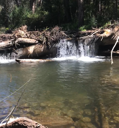 The Honey Hole