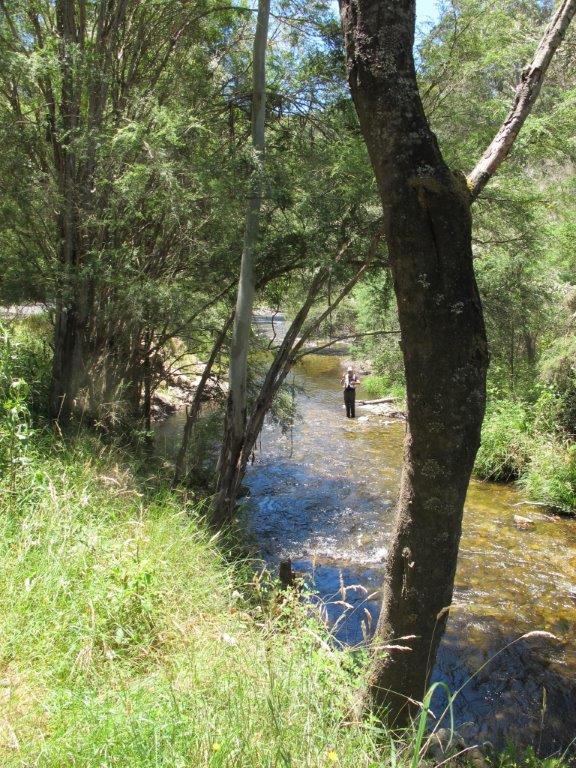 Talk Wild Trout Conference, Mansfield 21 November Pt 2 – Trees & Shade