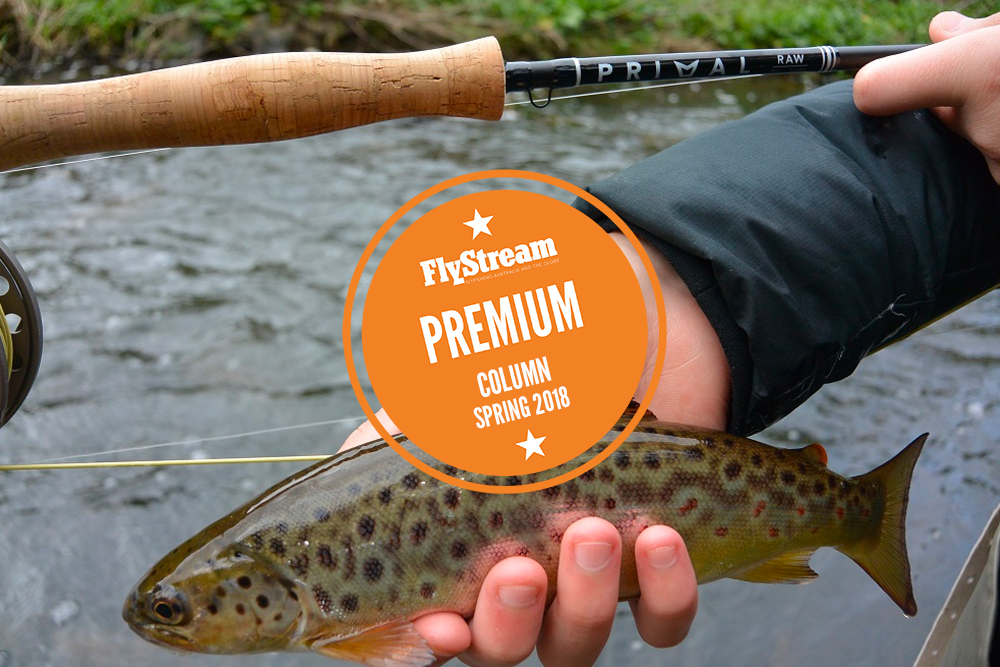 Tested - Primal Fly Rods