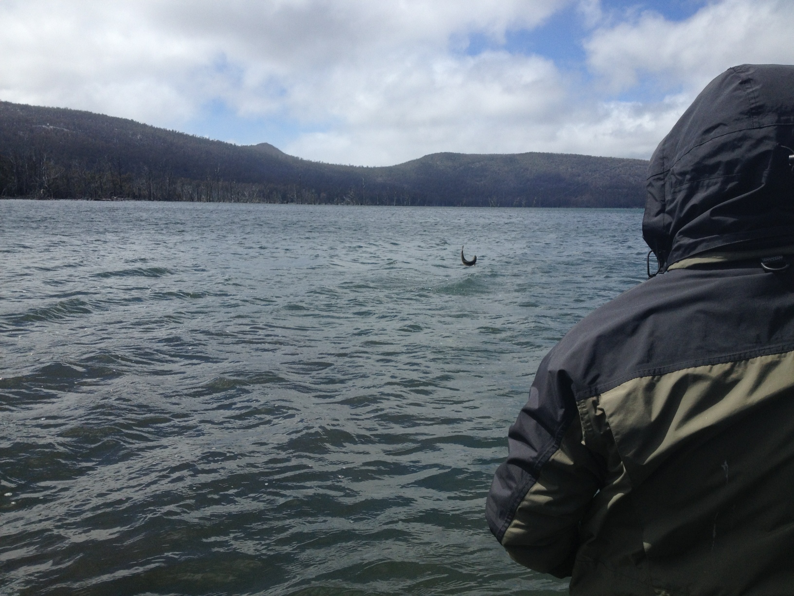 Tasmania Report 12/12/2013