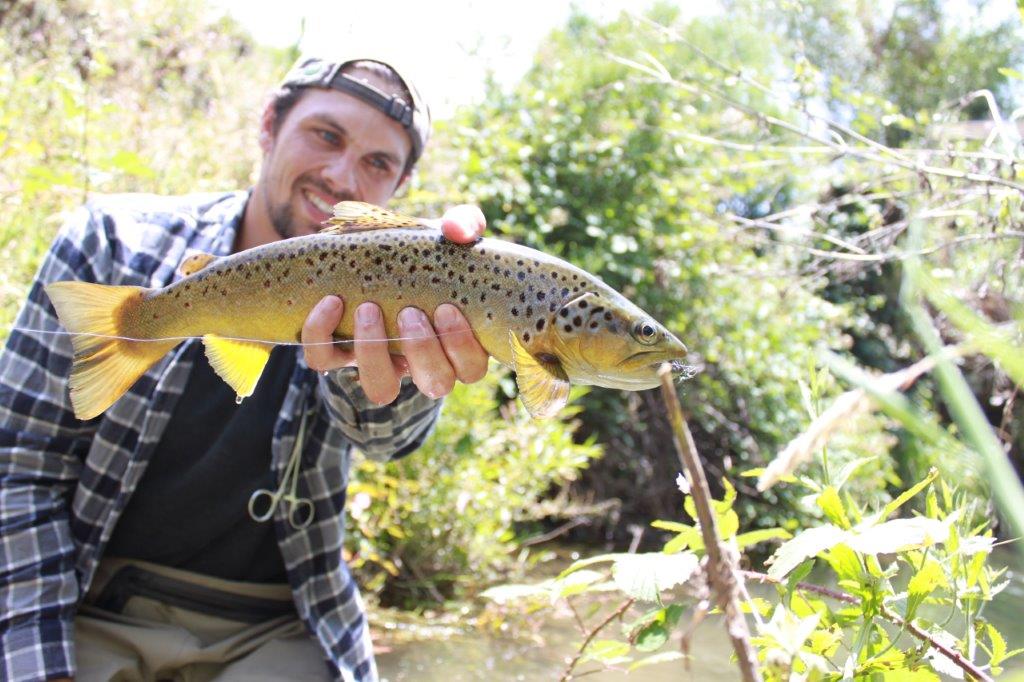 GOLD ON THE GOULBURN