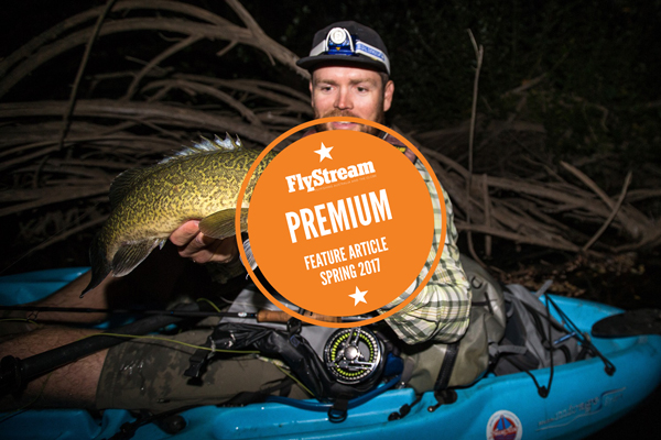 Murray cod in North-east Victoria