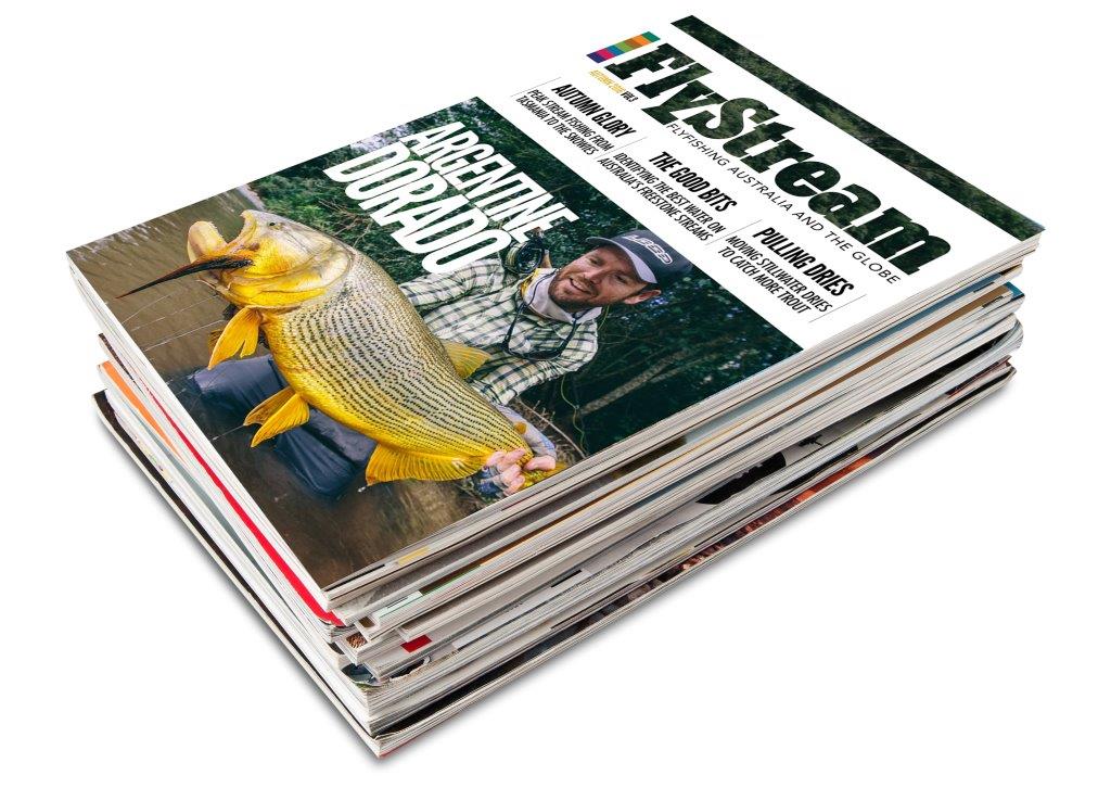 about the latest issue of FlyStream magazine