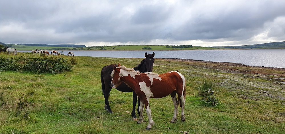 Colliford Lake Revisited