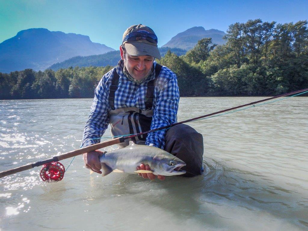 Pink Salmon - Squamish River, BC