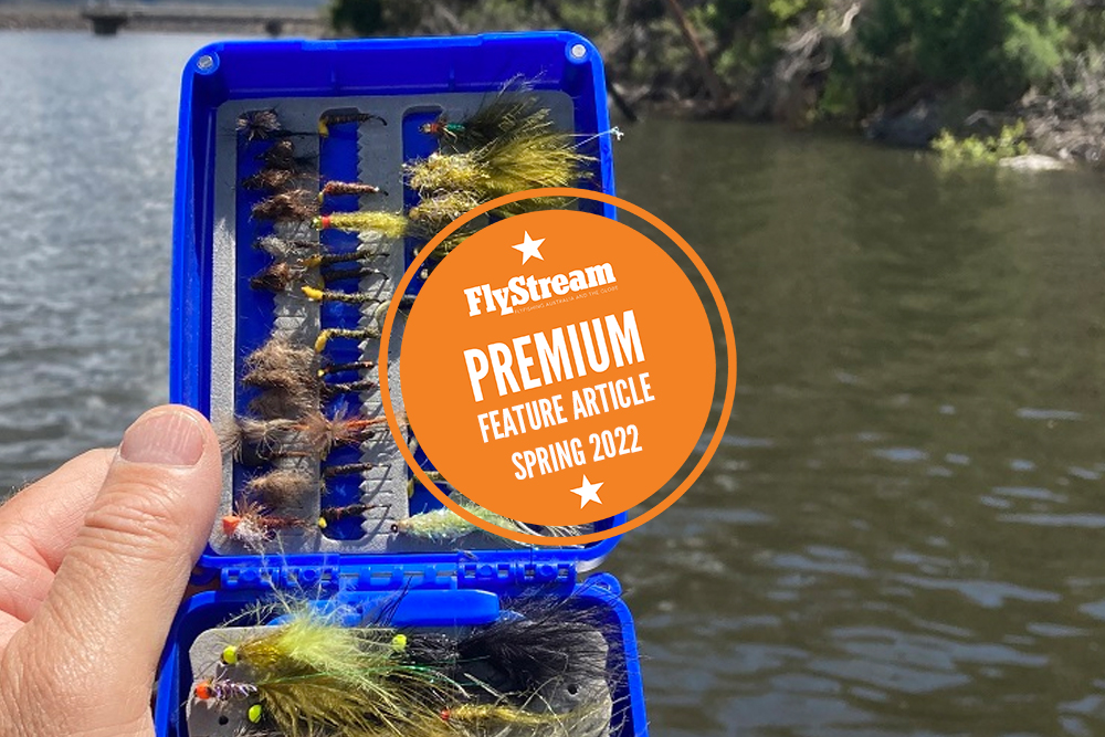 Trout Fly Choice - Part One