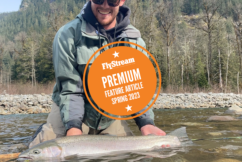 Atlantic salmon and steelhead: the uncatchables? Part 1