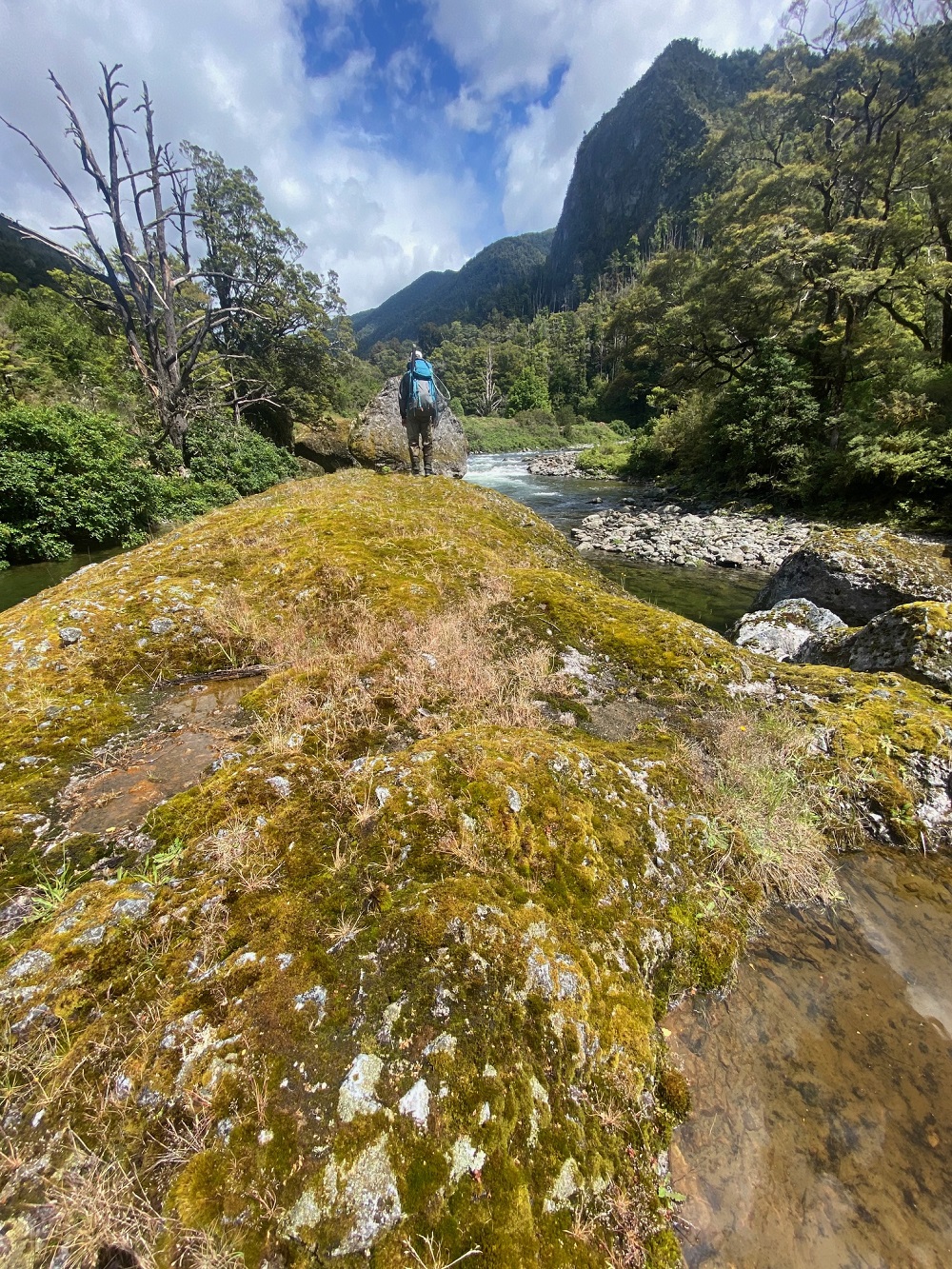 Backcountry Heist in New Zealand