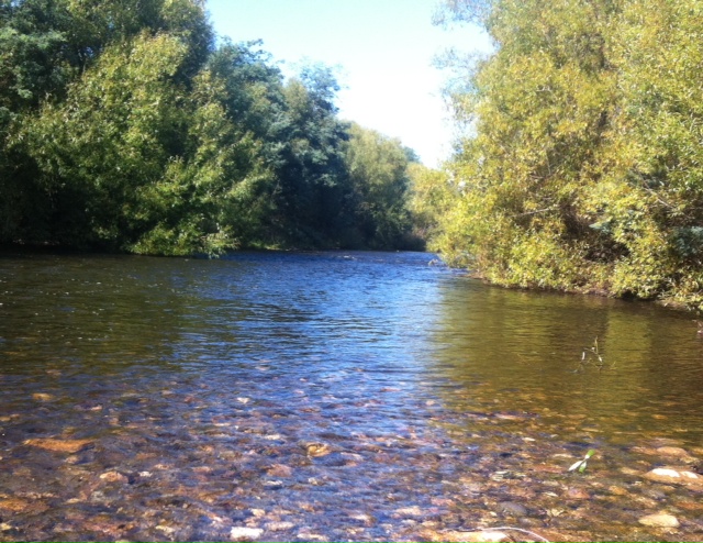 Autumn on Tassie Rivers - Fly Fish Australia Fundraiser