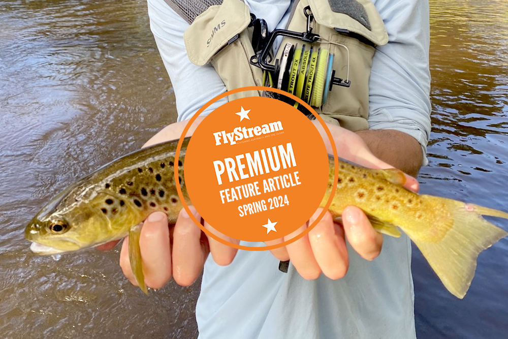 STREAM TROUT BASICS – Part 1
