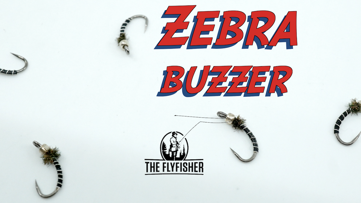 Effective Flies - The Zebra Buzzer