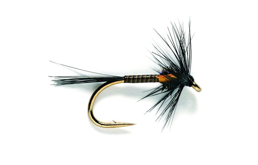 Black Traffic Light Cruncher