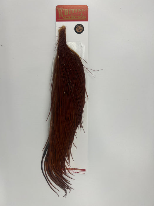 Whiting Bronze Dry Fly Half Cape Brown