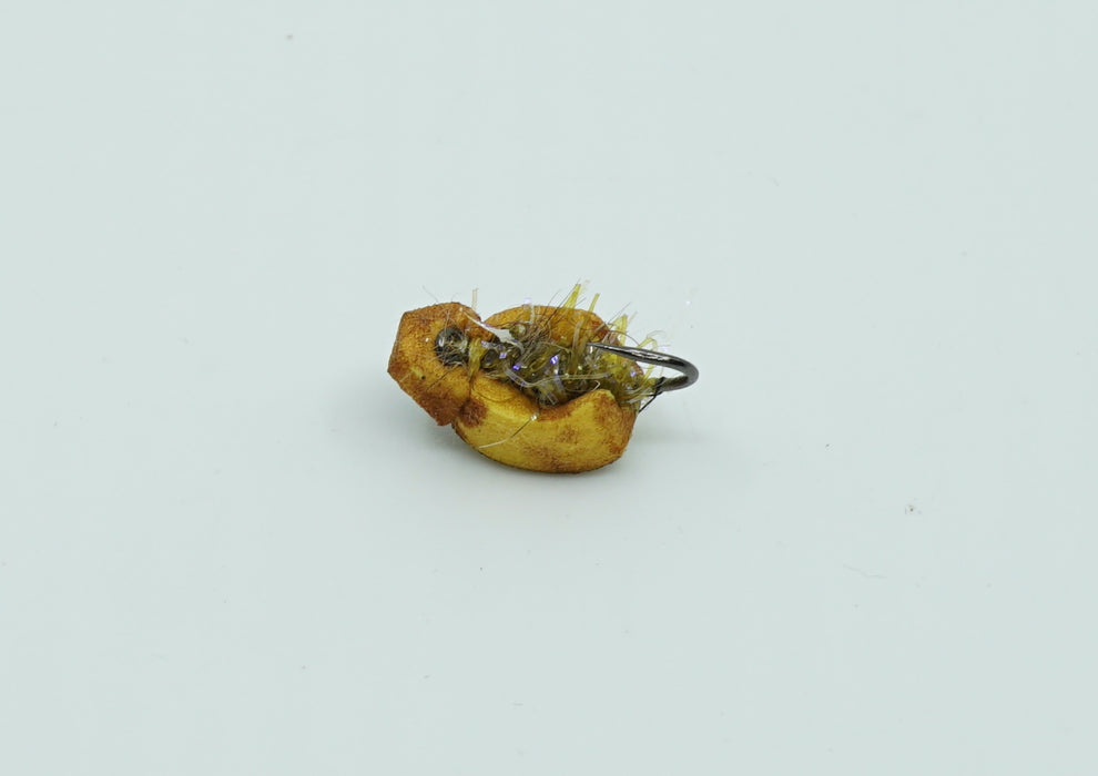 Roo's Gum Beetle