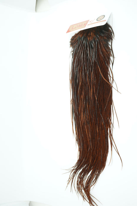 Whiting Bronze Dry Fly Saddle White dyed Coachman Brown