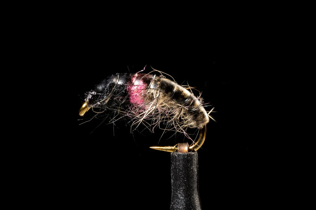 Hot Spot Czech Nymph - Tan/Pink